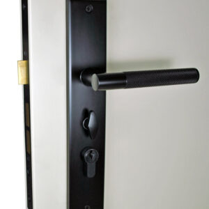 NIDUS KNURLED LEVER ON PLATE OZI-LOCK COMBO – B